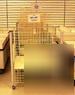 Wire dump bins w/ wheels ~ store fixtures liquidation 