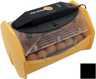 Brinsea octagon 20 eco incubator