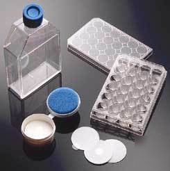 Bd biocoat cellware, poly-lysine, bd biosciences 356651